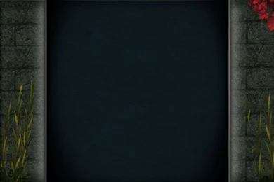 My First Client Backgrounds