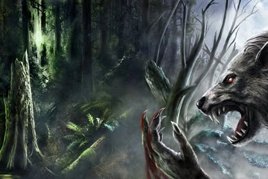 Werewolf Wallpapers Free Large Images