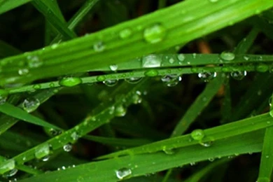 Galaxy S3 Wallpapers HD   Beautiful, Stunning Wallpapers