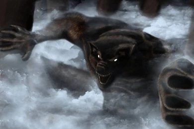 Werewolf Computer Wallpapers, Desktop Backgrounds