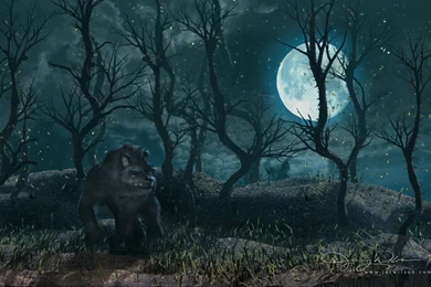 Werewolf Computer Wallpapers, Desktop Backgrounds
