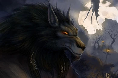 Halloween Werewolf Wallpapers