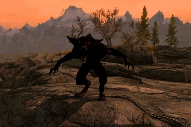 Alpha Werewolf Computer Wallpapers, Desktop Backgrounds ...