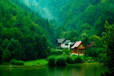 Forest House Desktop Wallpaper, Forest House Images, New Wallpapers