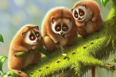 Cute Nature Animals Wallpapers HD 254 Full HD Wallpapers Desktop ...