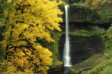 Nature Wallpapers Hd Iphone 4