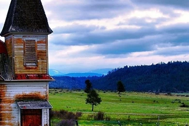 Nature Of The Wild   123mobileWallpapers.com