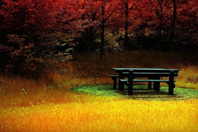 Hd 3d Wallpapers 1080p Widescreen