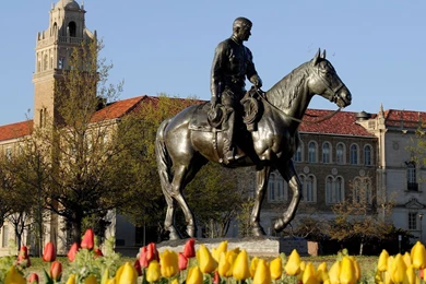 Desktop, Wallpaper, Texas, Double   102037