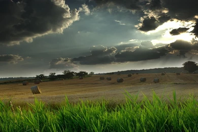 25 Extravagant Nature Wallpapers