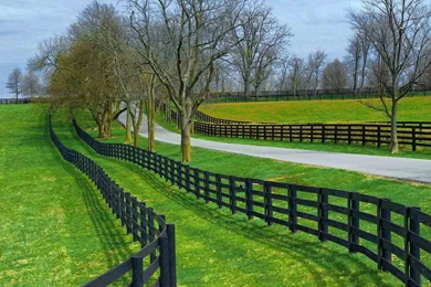 Nature Greenery Latest HD Wallpapers Free Download