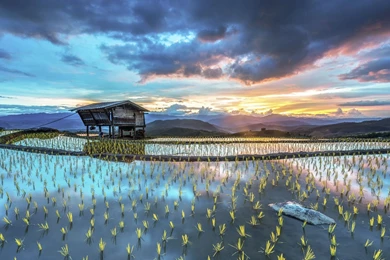 Top Latest Wallpapers Of Nature Images For Pinterest