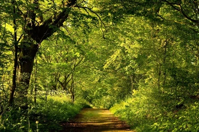 Free Wallpapers   Free Nature Wallpapers   HD Landscape 2 Wallpapers ...