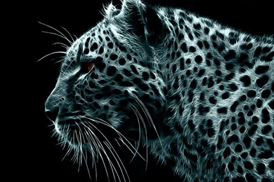 Crazy S HD Wallpapers