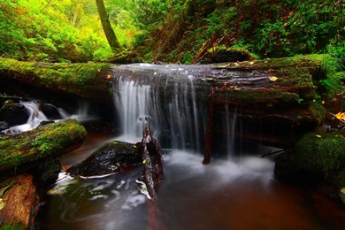 Top Waterfall In Forest Background Images For Pinterest