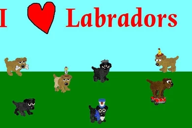 Labrador Wallpapers By Black Rose Diango On DeviantArt