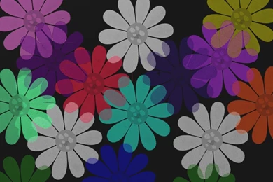 Dizzy Daisies   Bright Colors Wallpapers (29163226)   Fanpop