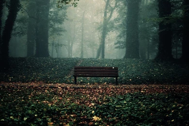 Old Bench On Nature Wallpapers Full HD