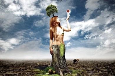 Art And Creative Photos/Tree Of Life Pics And Wallpapers Free ...