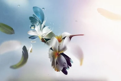 Creative Wallpapers For Laptop 8 1024x576.jpg