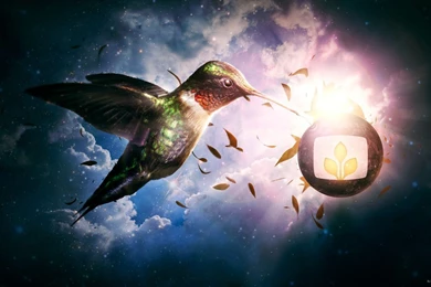 35 Best HD Creative Wallpapers For Laptop   Graffies