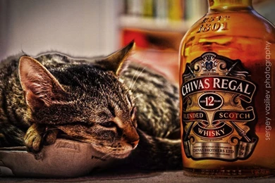Skylee & Chivas Regal