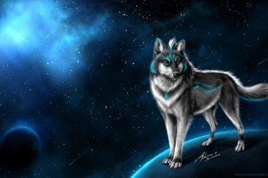 Best Wolf Wallpaper HD 1024×576