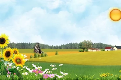 Sunflower Wallpapers Hd Best Picture For Desktop Backgrounds   Poze ...