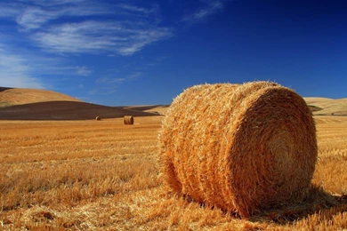 For 1080p Widescreen LCD Monitor HD Beautiful Landscape 1920 ...