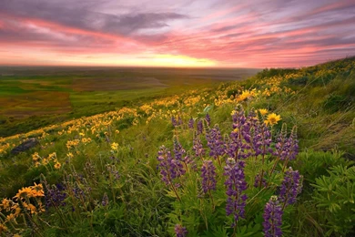 For 1080p Widescreen LCD Monitor HD Beautiful Landscape 1920 ...