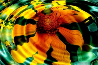 Hd Nature Wallpapers Widescreen   1366031