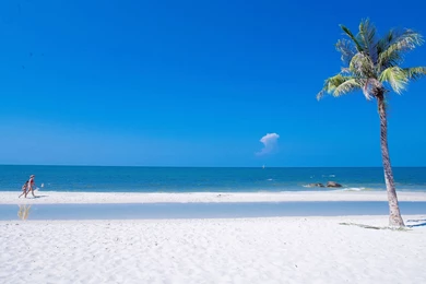 Ocean desktop wallpaper free.jpg