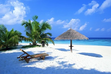 Top And High Quality HD Wallpapers And Picture