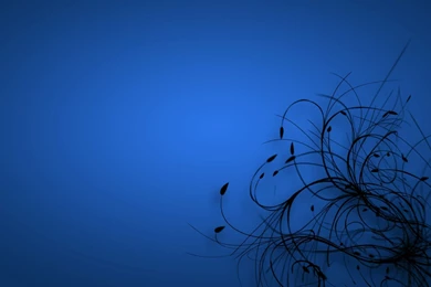 Desktop Blue Wallpapers HD CuteWallpaper.org