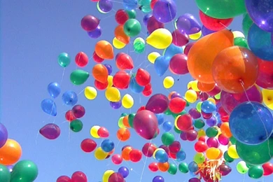 Others Colorful Balloons   Free High Quality Backgrounds Pictures