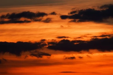 Golden Sky In The Evening   Desktop Backgrounds 1680x1050 Pixels