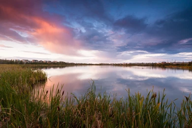 Download Wallpapers 3840x2400 Canada, Lake, Grass, Reeds, Houses ...
