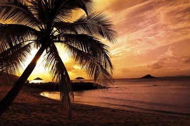 Coast Beach Nature Full HD