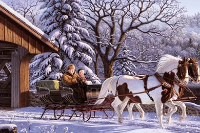 Best winter hd free wallpapers for desktop