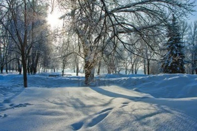 Nature Winter Wallpapers Free Download PC   Online Fun