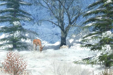 Free Animated Winter Wallpapers 2015   Grasscloth Wallpapers