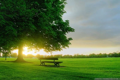 Beautiful HD Wallpapers: Amazing Spring Sunrise Desktop Wallpapers