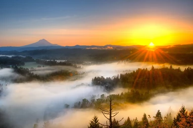 Download Wonderful Sunrise Wallpapers 1578 2560x1600 Px High ...