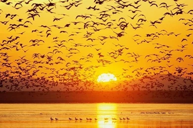 The Ocean Sunrise Hd Wallpapers   ImgMob