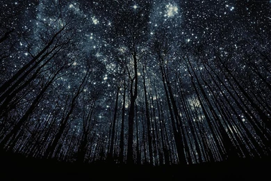 Sky Wallpapers Photos Free Download For You