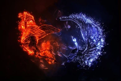 Love On Fire Wallpapers 15 Desktop Backgrounds   Hivewallpaper.com