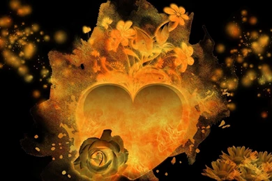 Top Wallpapers Fire And Ice Roses Images For Pinterest