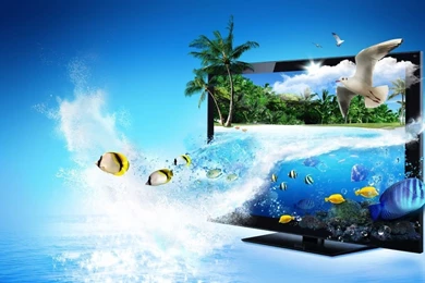1366x768 3d TV Fish Wallpapers