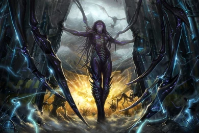 Video Games, StarCraft, Blizzard Entertainment, StarCraft II ...