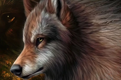 Download Wallpapers 1920x1080 Art, Wolf, Graphics, Wool Full HD ...